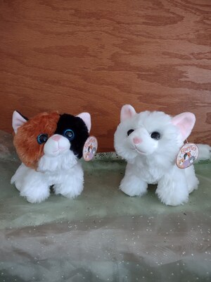 Stuffed Animal - Cat